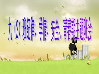 纪律安全青春期主题班会