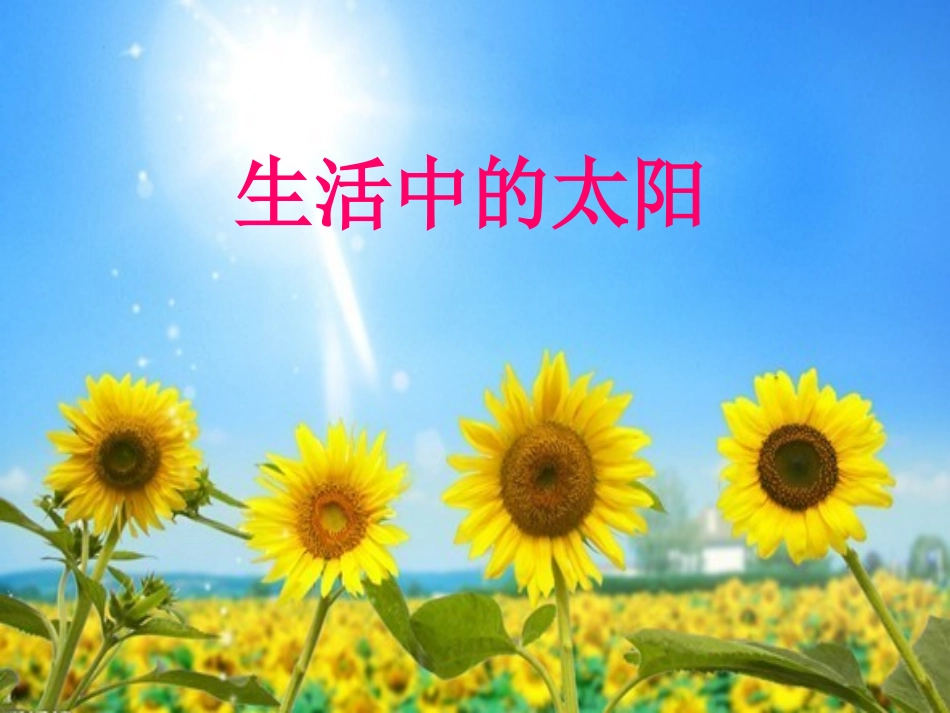 我的太阳 (2)_第3页