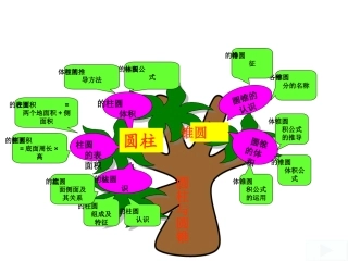 圆柱和圆锥知识树安彩永