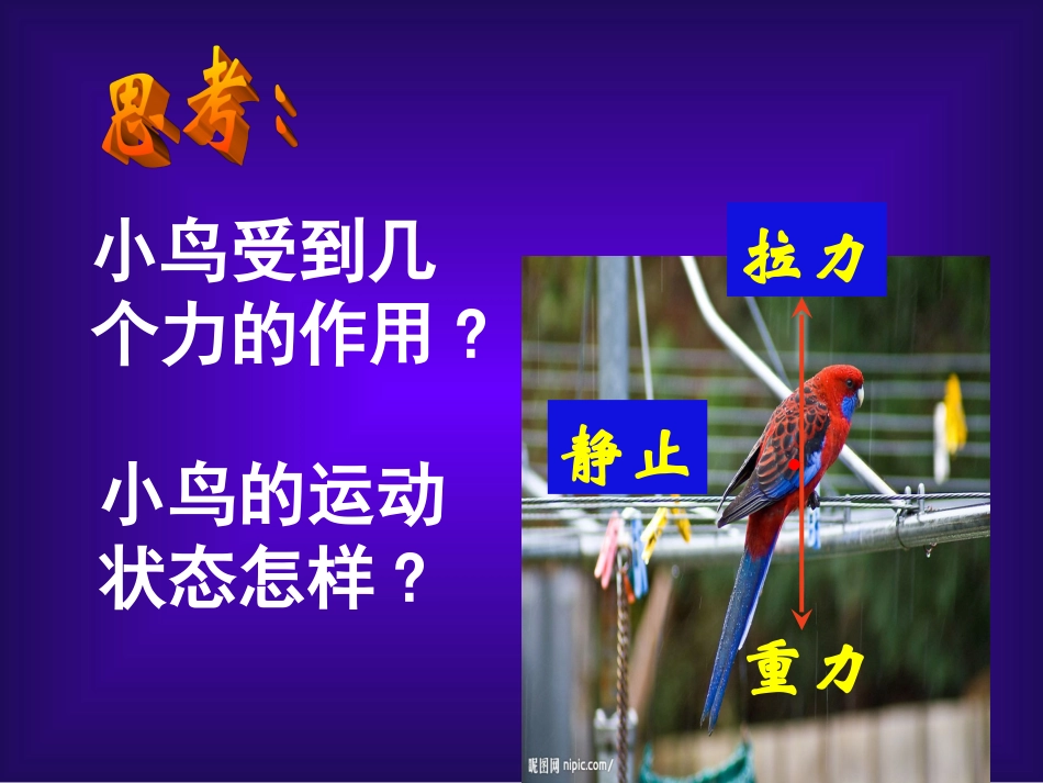 探究物体受力时怎样运动_第2页