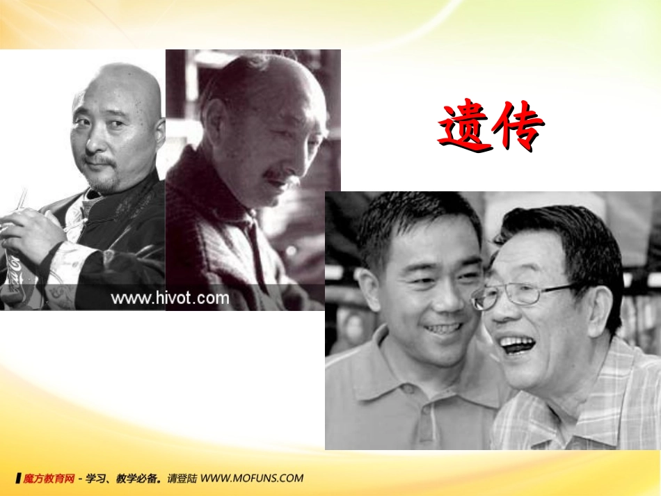 基因控制生物的性状_第2页