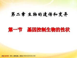 基因控制生物的性状