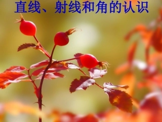 四年级数学上册《直线、射线和角的认识》