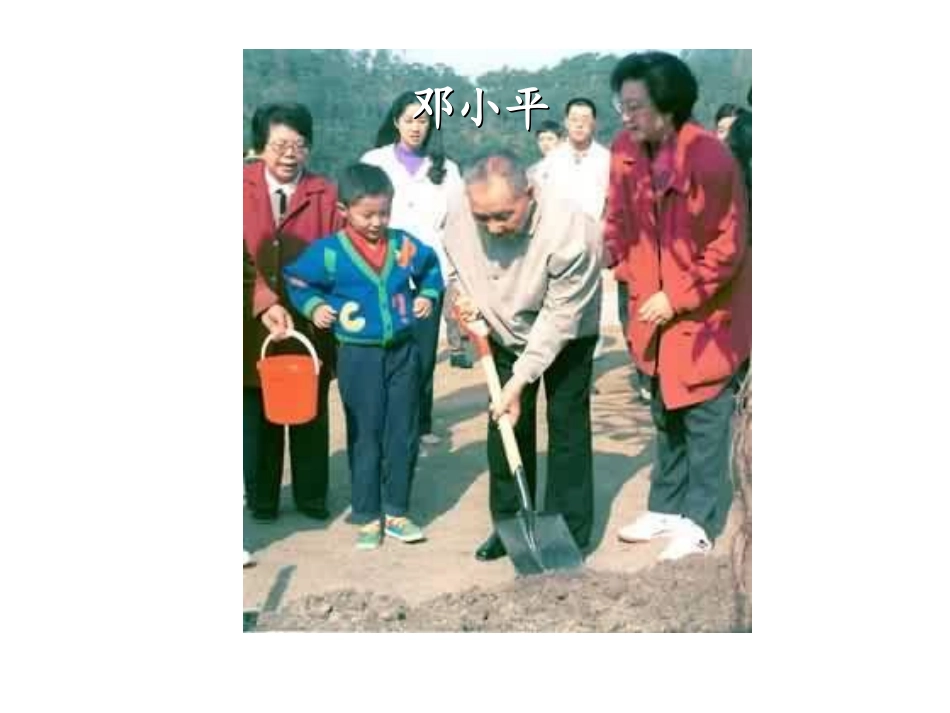 《邓小平爷爷植树》课件_第2页