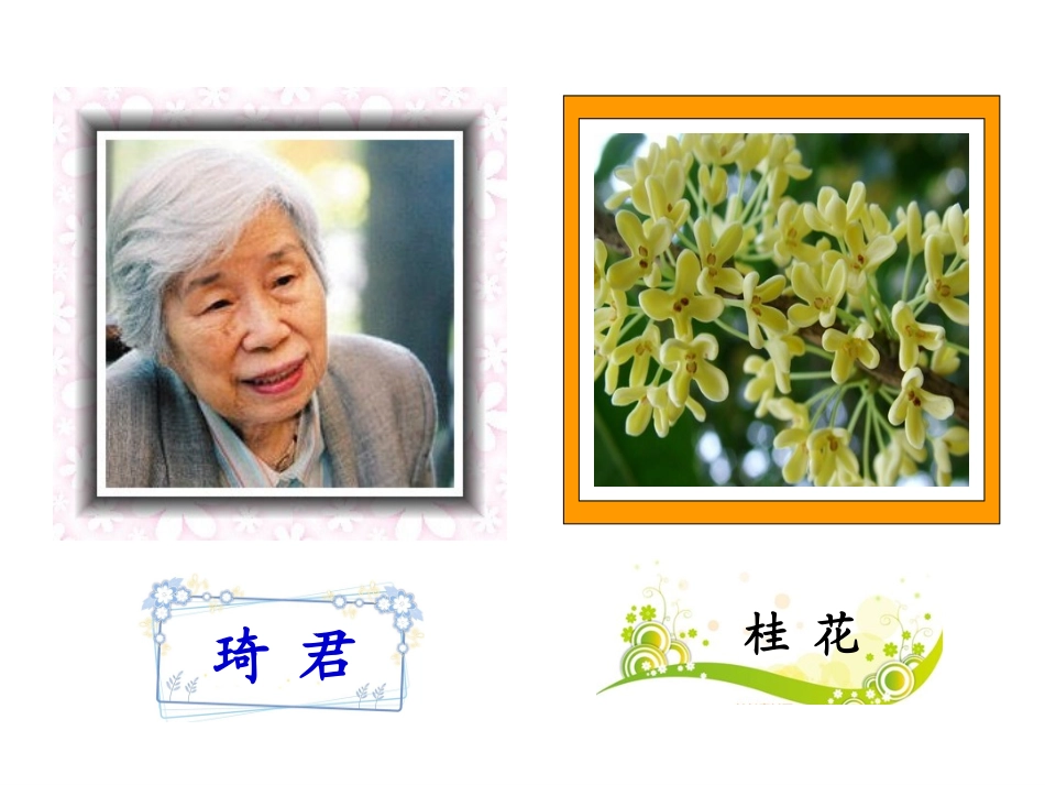 《桂花雨》第二课时课件_第3页