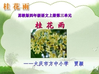 《桂花雨》第二课时课件