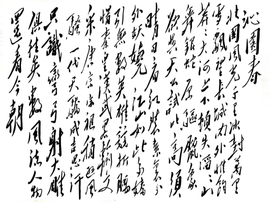 沁园春·长沙(1)_第2页