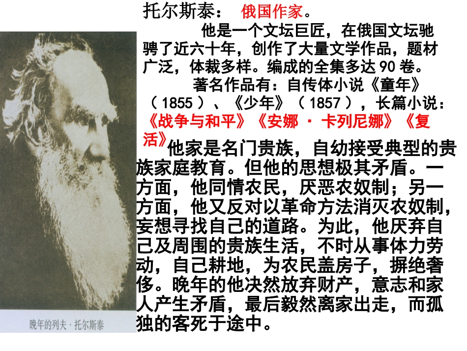 托尔斯泰81_第3页