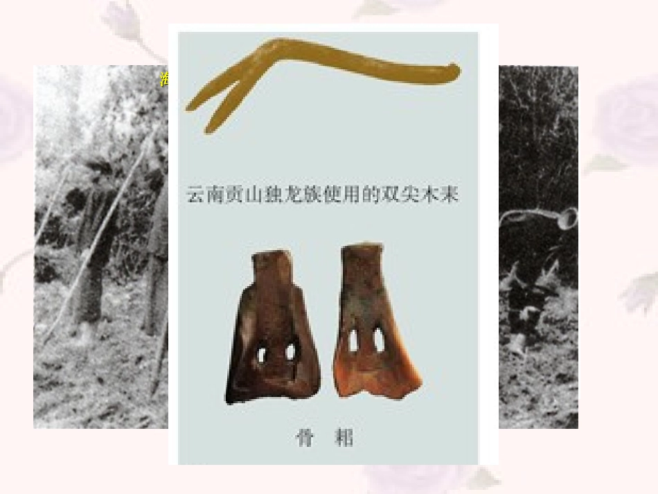 _发达的古代农业_[1]_第3页