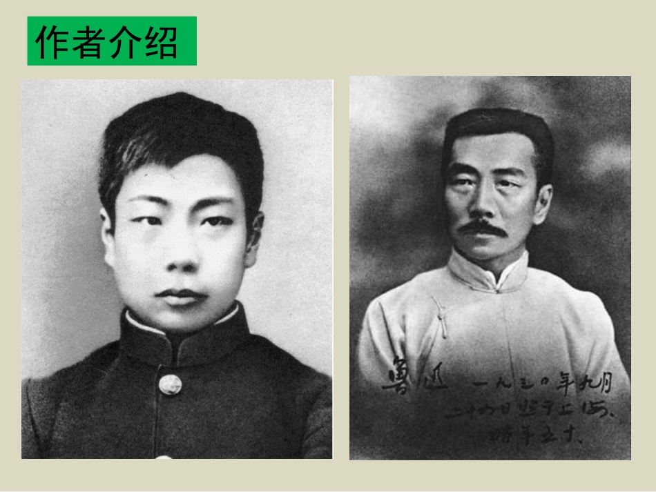 纪念刘和珍君课件_第3页