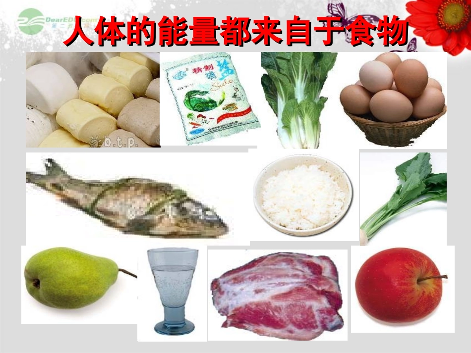 _食物中能量的释放课件__第2页