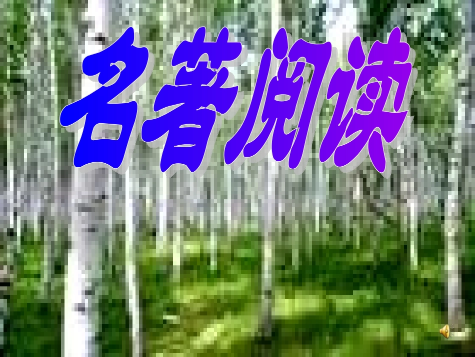 《钢铁是怎样炼成的》_第1页