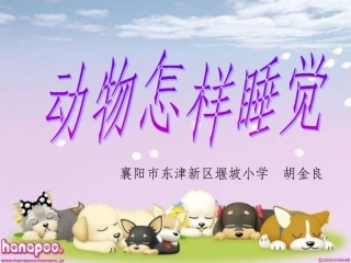 动物怎样睡大觉