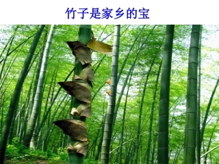 竹子是家乡的宝（课件）