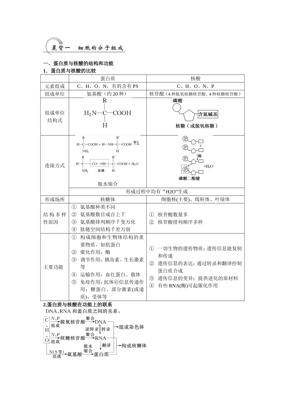 晨背（必修+选修）_第1页
