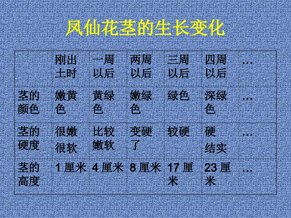 《茎越长越高》课件2_第2页