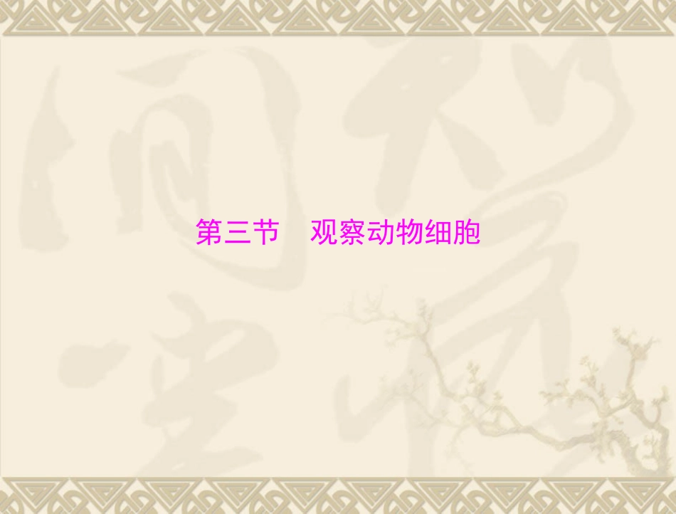 生物：213《观察动物细胞》课件(人教版七年级上)3_第1页