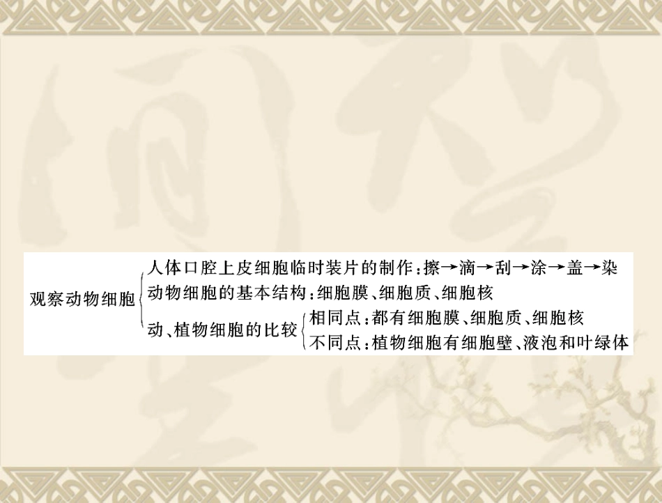 生物：213《观察动物细胞》课件(人教版七年级上)3_第2页