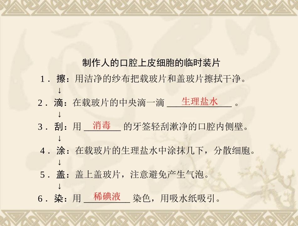 生物：213《观察动物细胞》课件(人教版七年级上)3_第3页