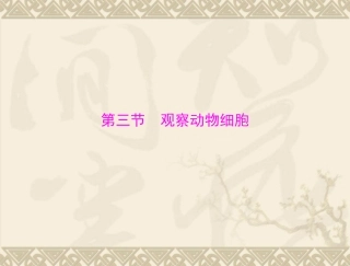 生物：213《观察动物细胞》课件(人教版七年级上)3