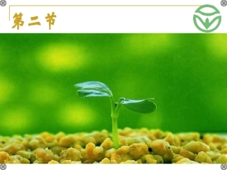 中国的可持续发展实践