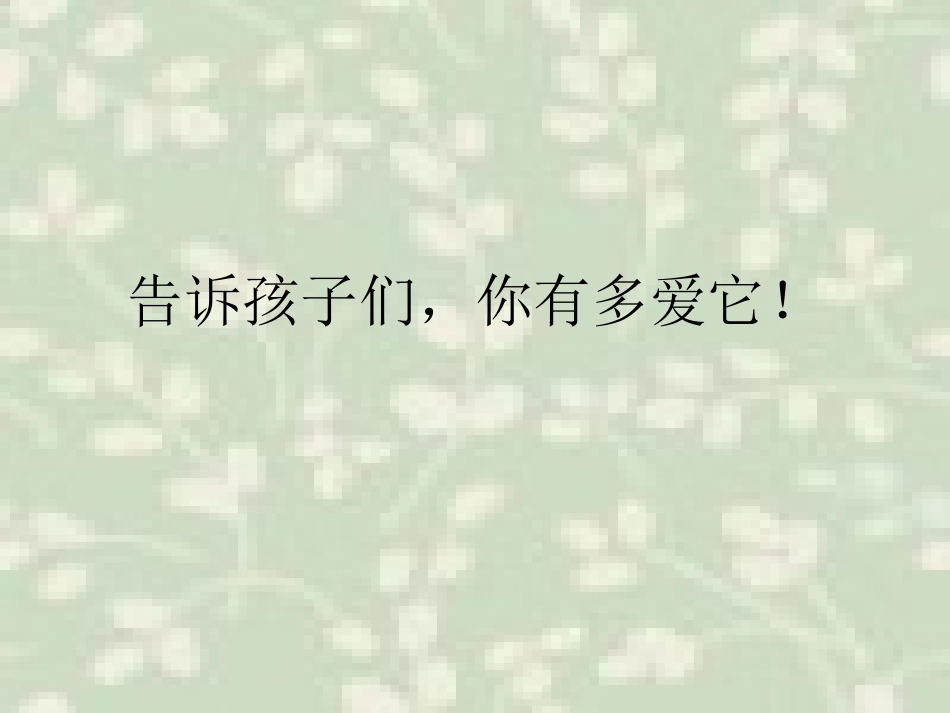 猜猜我有多爱你!!_第1页
