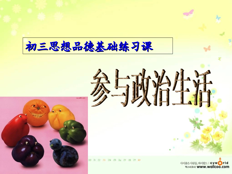 依法参与政治生活复习_第3页