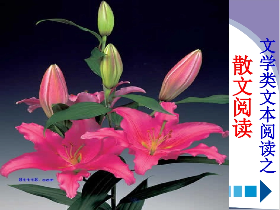 散文阅读专题课件_第1页