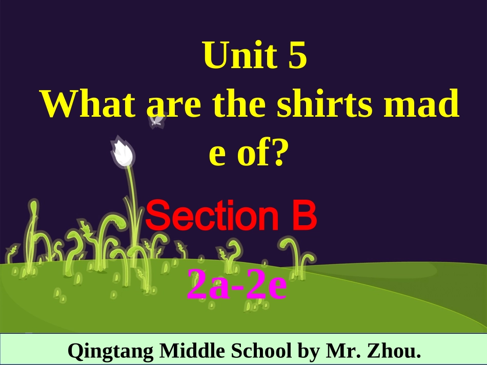 2014年秋新目标九年级上Unit5SectionB2a-2e课件（42页）_第3页
