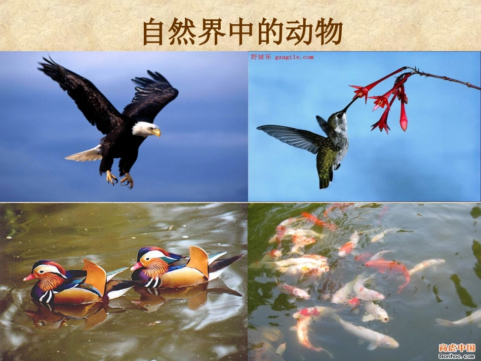 初中美术课件(中国写意花鸟画的概述与欣赏)_第3页