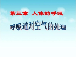 《呼吸道对空气的处理》参考课件1-基础型