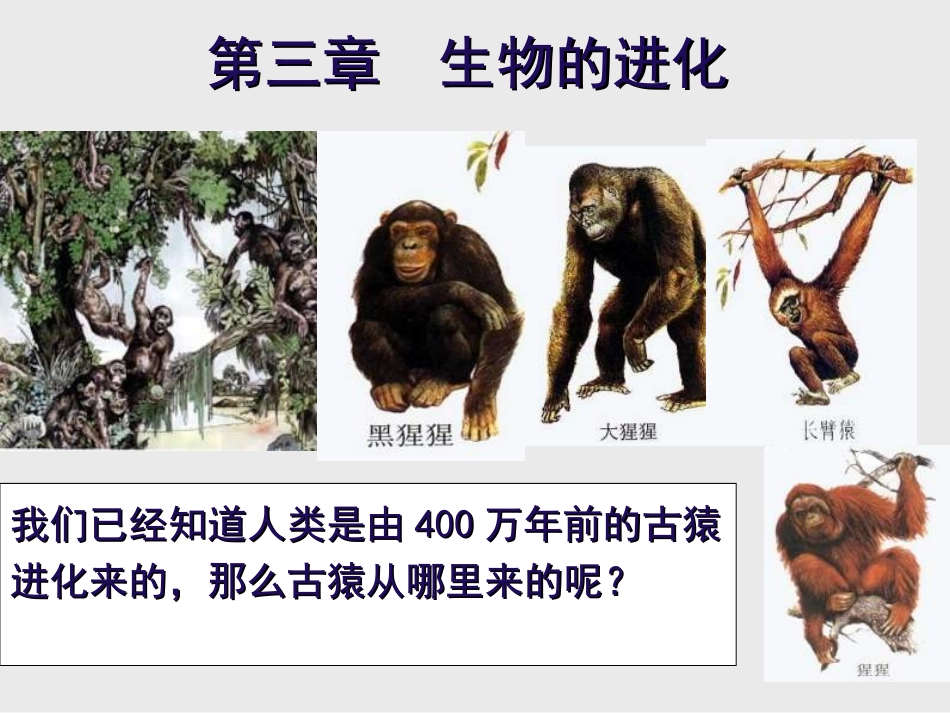 初中二年级生物下册第七单元第三章生物的进化第一节地球上生命的起源第一课时课件_第1页