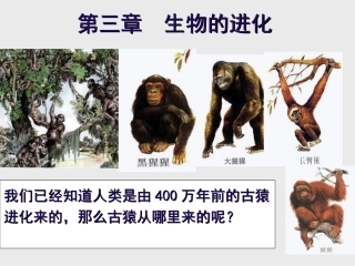 初中二年级生物下册第七单元第三章生物的进化第一节地球上生命的起源第一课时课件