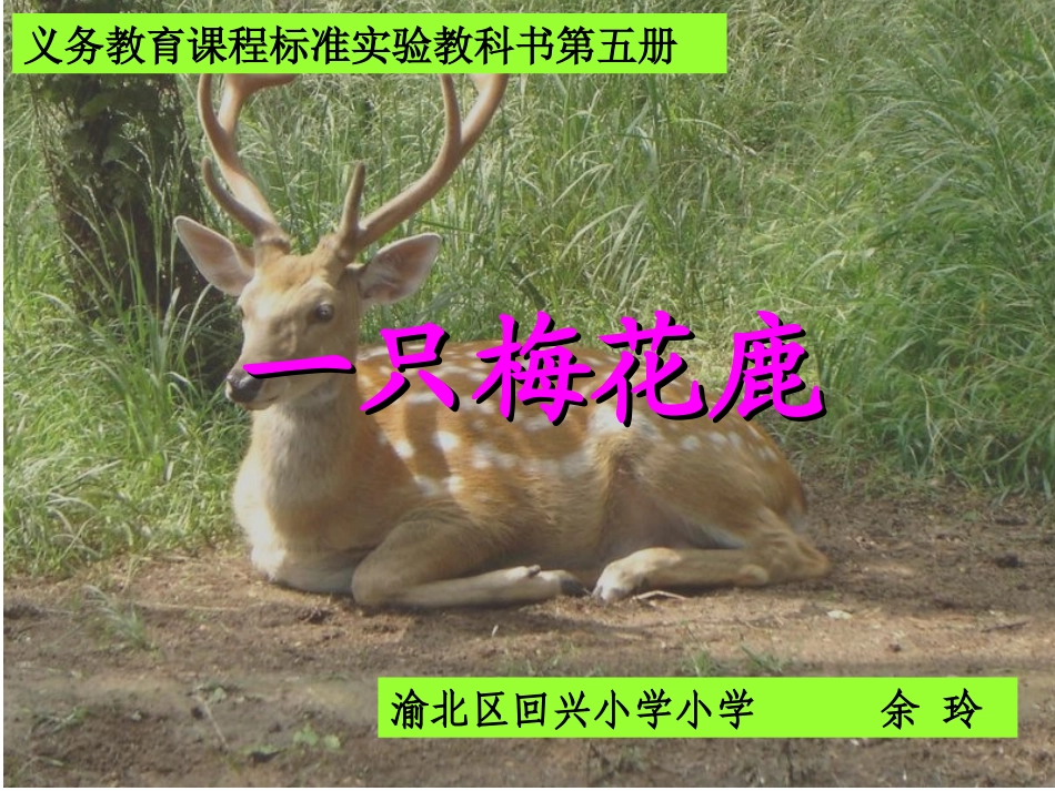 一只梅花鹿PPT[1]_第1页