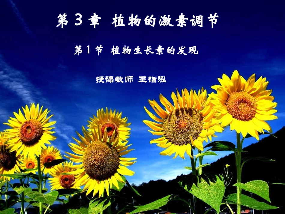 王诣泓市级观摩课件-_第2页