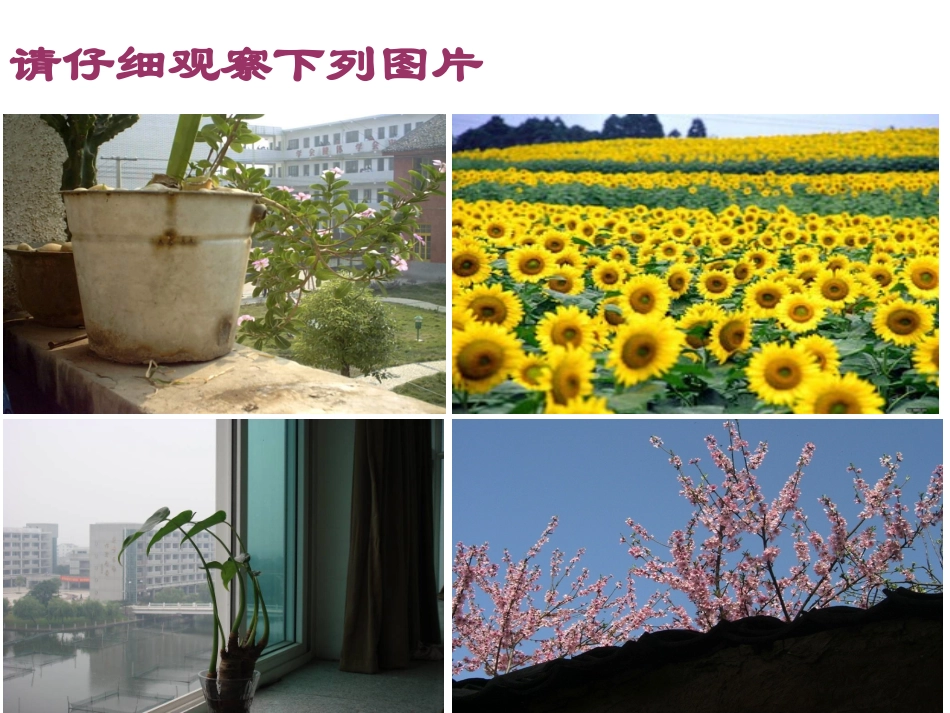 王诣泓市级观摩课件-_第3页