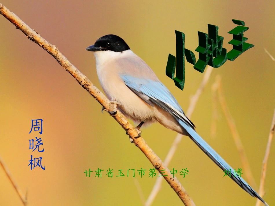 《小地主》课件_第1页