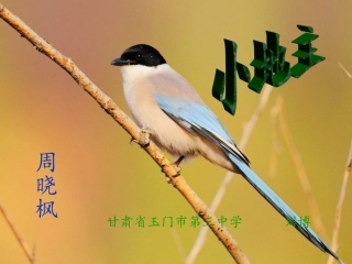 《小地主》课件