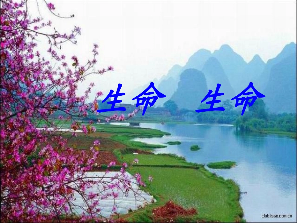 《生命生命》课件(1)_第1页