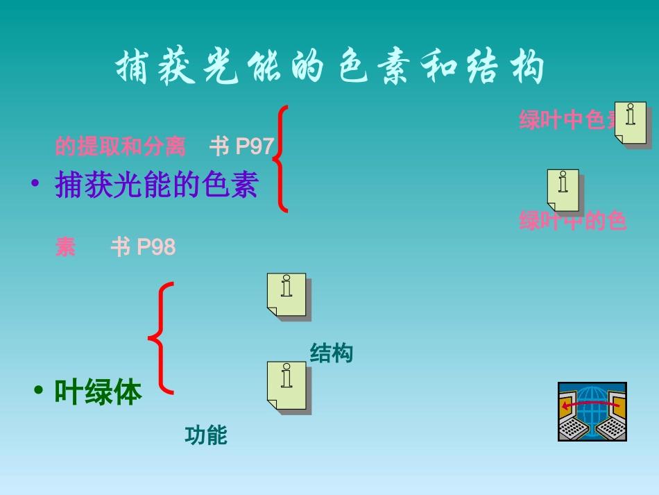 人教版必修1第5章第4节能量之源——光与光合作用（共37张PPT）_第3页