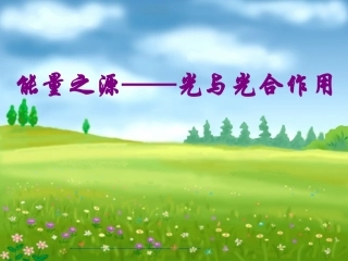 人教版必修1第5章第4节能量之源——光与光合作用（共37张PPT）