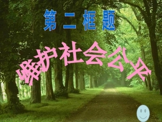 维护社会公平