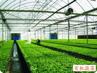 《农业的变化真大》课件