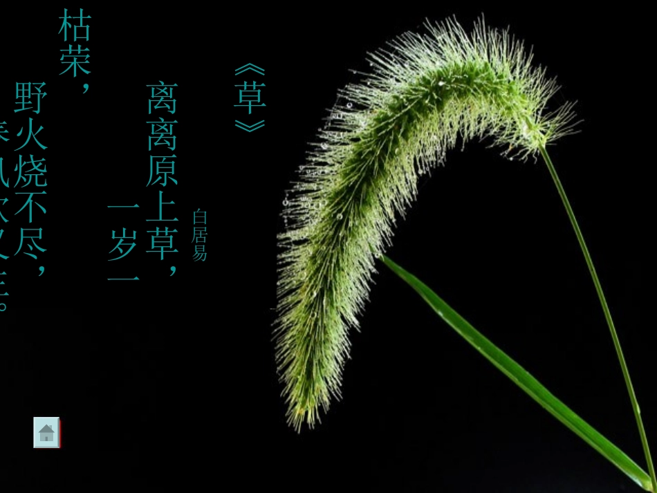 小草，向前走实用版_第2页