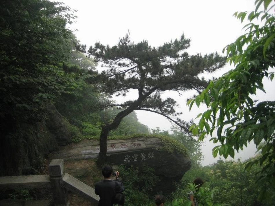 人教版四年级语文上册5古诗二首《题西林壁》(精品课件)_第3页