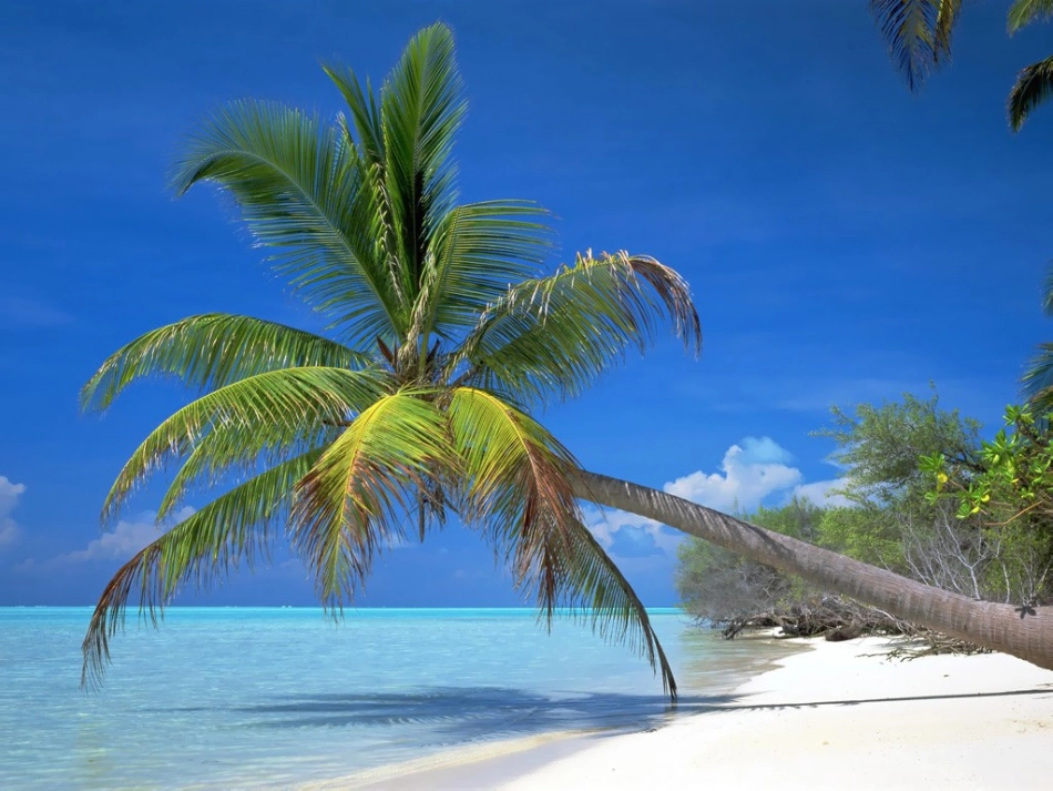 美丽的南沙群岛 (2)_第3页