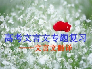 高考文言文专题复习——文言文翻译课件