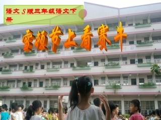 《雪顿节上看赛牛》课件(语文S版三年级下册课件)