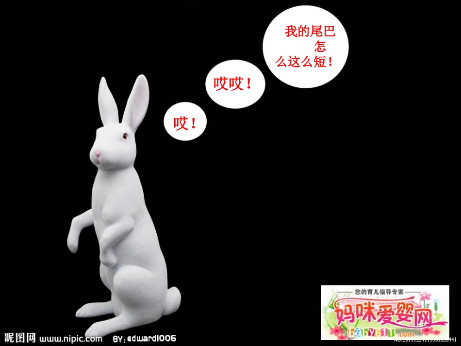 大班语言《小白兔借尾巴》PPT_第1页