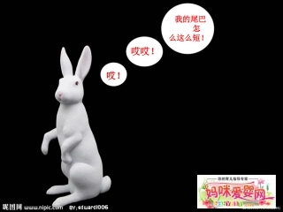 大班语言《小白兔借尾巴》PPT